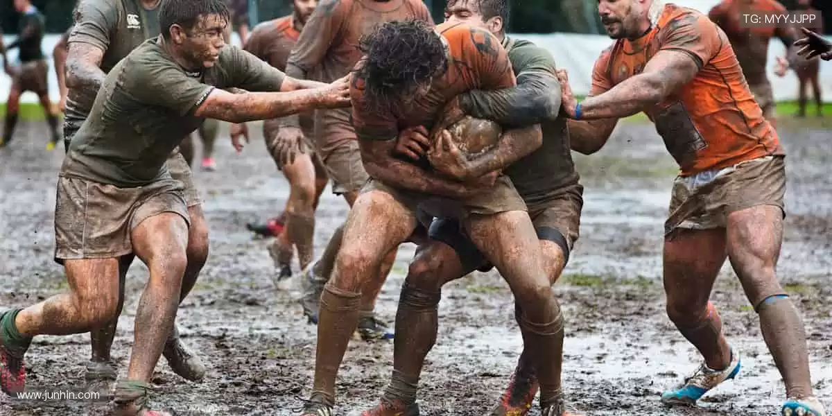 📱 指尖轻点，全球赛事实时掌控！🎥